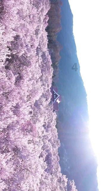 曝微软即将对Windows 11进行重大更新