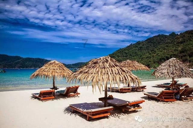 探索知识星球平台,尽享小米蒸煮锅干烧故障之旅