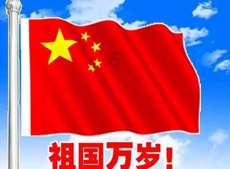 救援大嘴鸟