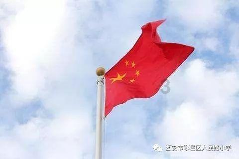 拯救蝙蝠家族