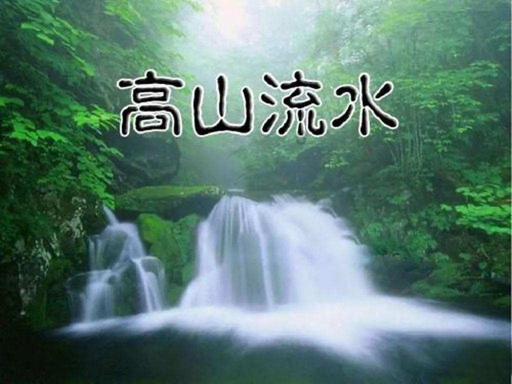 救援达尔马提亚狗
