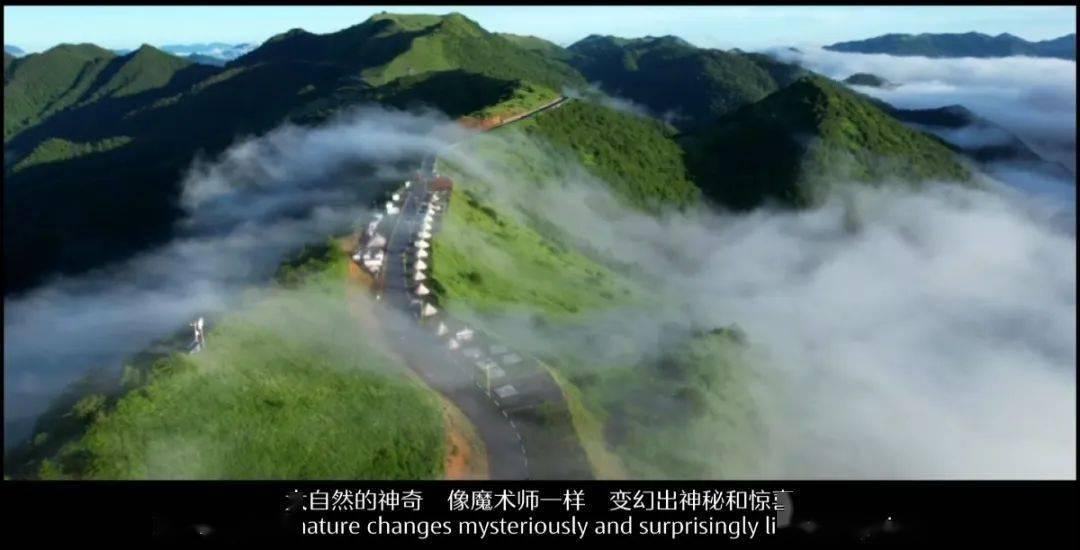 收集星星的高吉