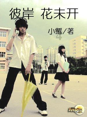 普罗西达:彩色粉笔画出的岛屿